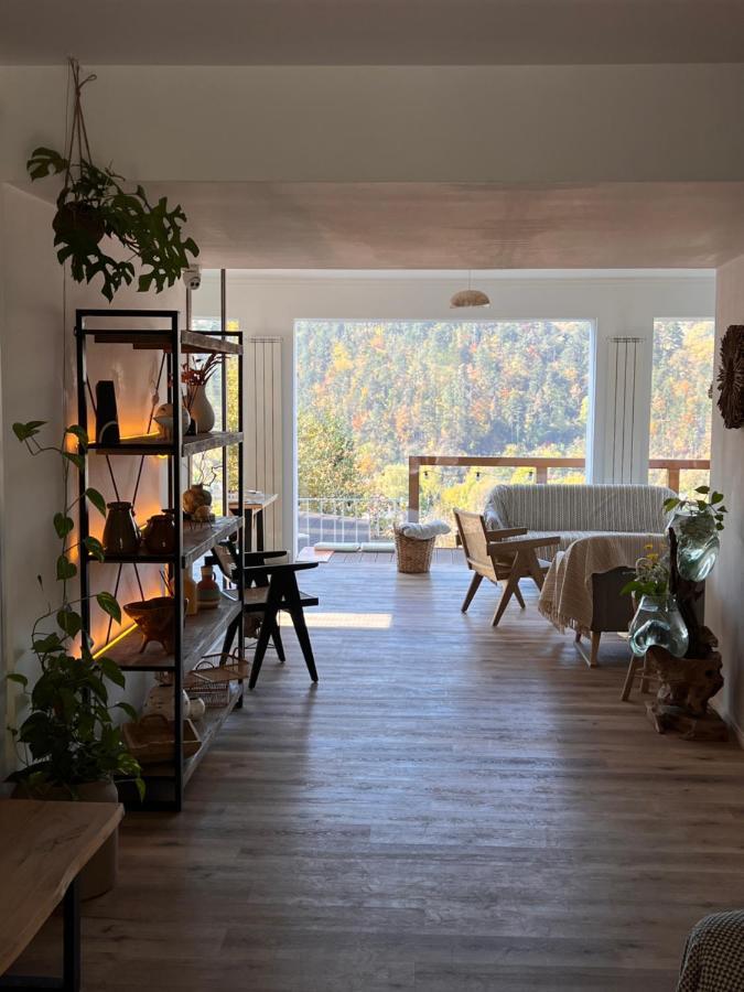 Shard Boutique Hotel-Adult Only Brasov Ngoại thất bức ảnh