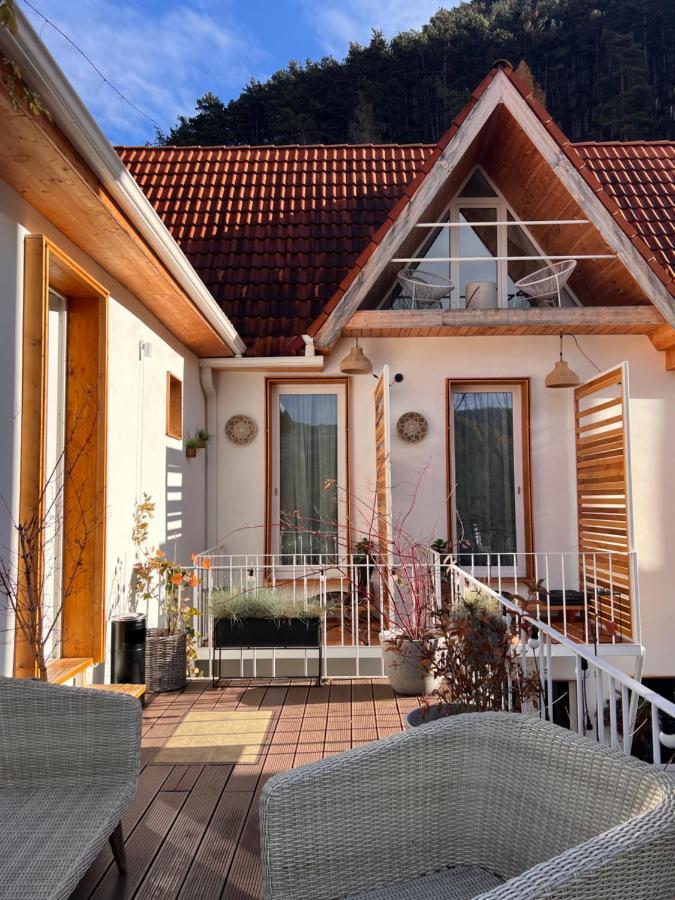 Shard Boutique Hotel-Adult Only Brasov Ngoại thất bức ảnh
